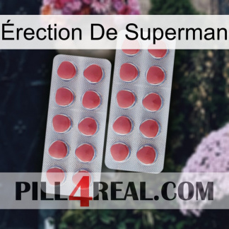 Érection De Superman 19